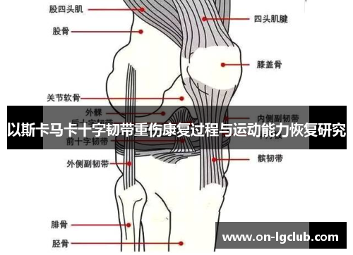 以斯卡马卡十字韧带重伤康复过程与运动能力恢复研究 以斯卡马卡十字韧带重伤康复过程与运动能力恢复研究